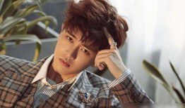 娱乐吃瓜酱任嘉伦,娱乐吃瓜酱的甜蜜瓜田之旅