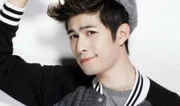 最新爆料小鲜肉,颜值与实力并存，揭秘他的崛起之路